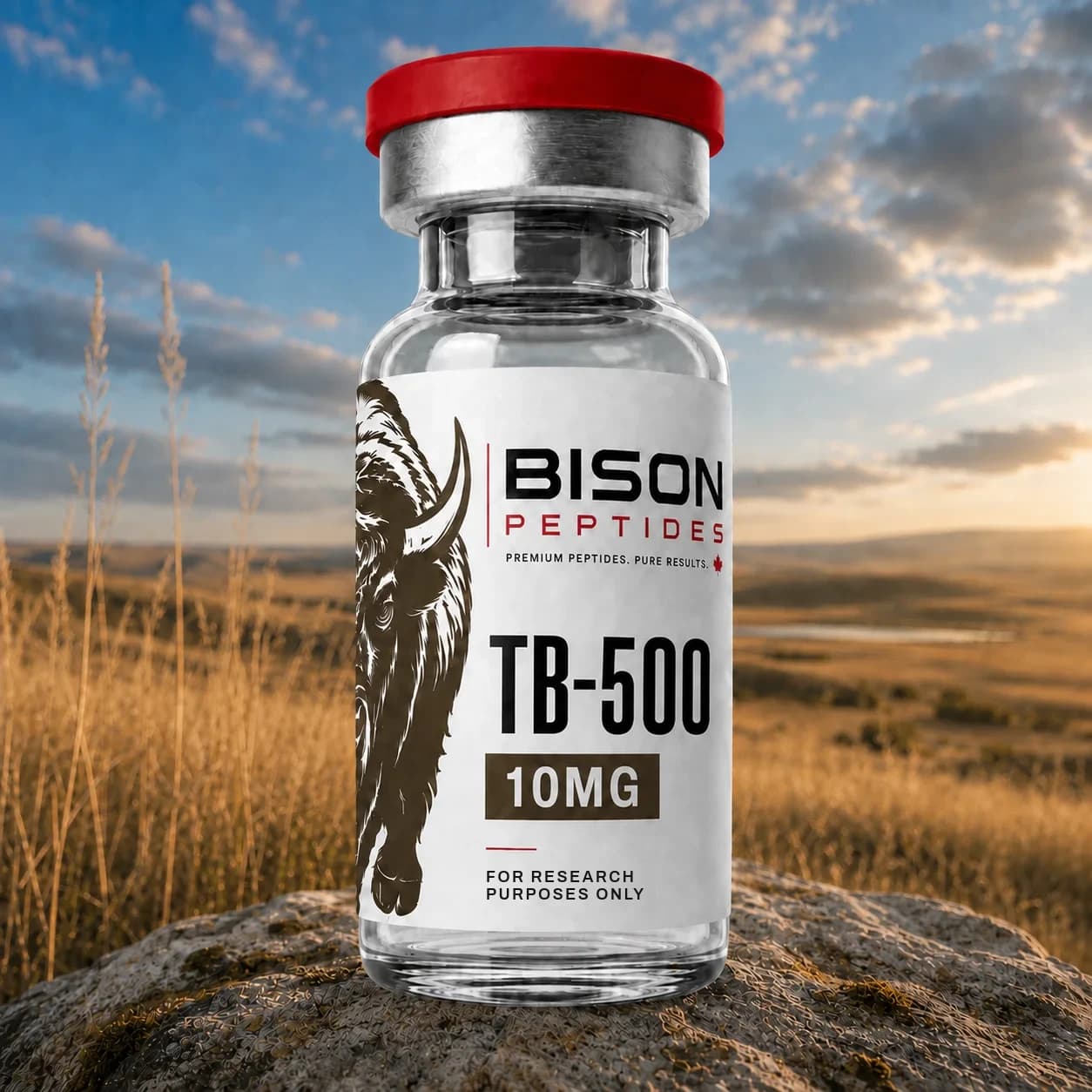 TB-500 10mg