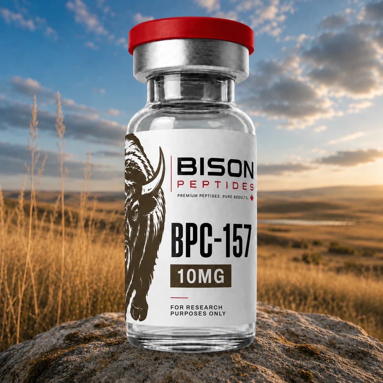 BPC-157 10mg